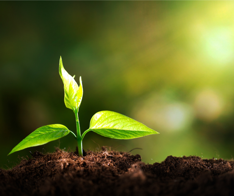 la vita torna a scorrere